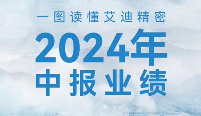 稳健增长！一图读懂qy88vip.cnn千亿精密2024年中报业绩